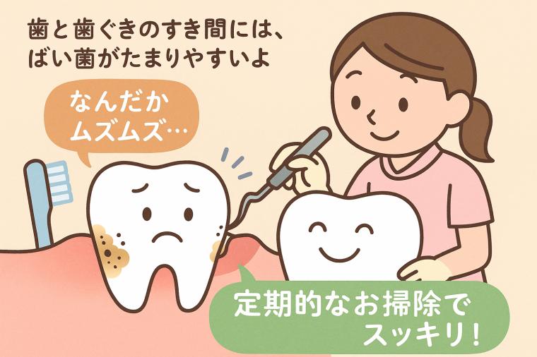 歯周ポケットを掃除して口腔内の健康を守る!自宅ケアと治療法の完全ガイド